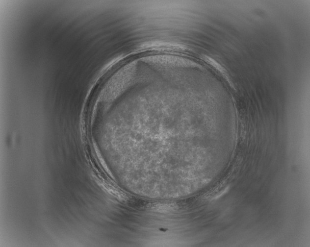 X0000074001074200609181802