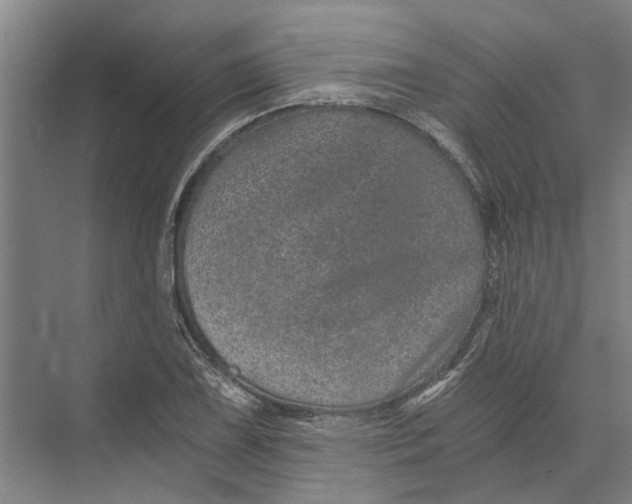 X0000074001075200609181802