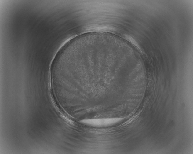 X0000074001079200609181802