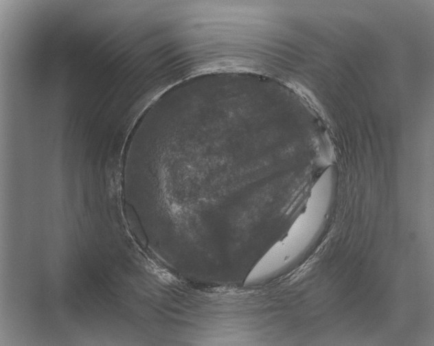 X0000074001081200609181802