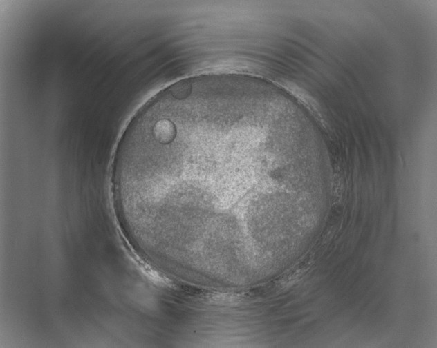 X0000074001086200609181802