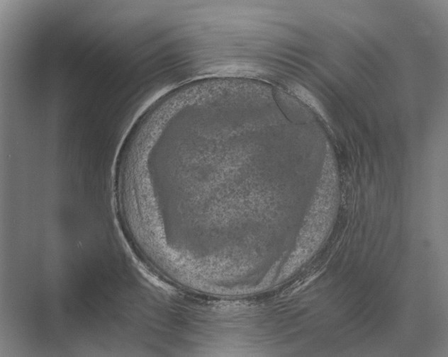 X0000074001087200609181802