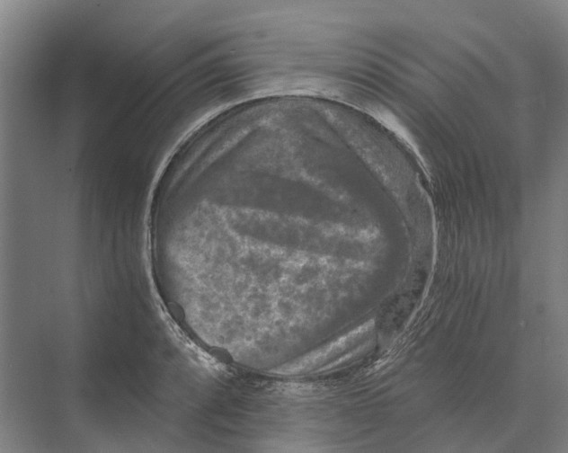 X0000074001088200609181802