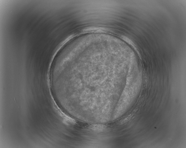 X0000074001090200609181802