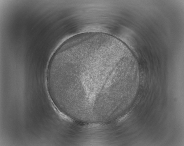 X0000074001094200609181802