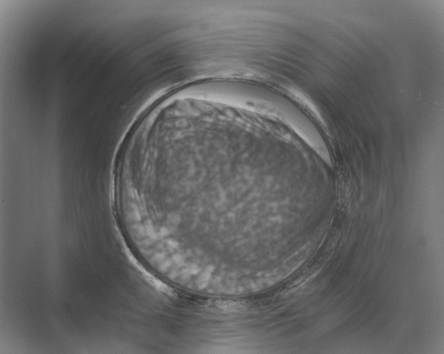 X0000074001095200609181802