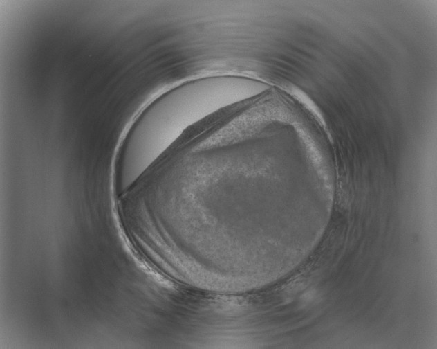 X0000074001096200609181802