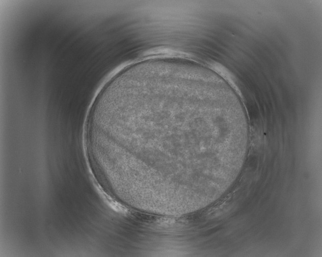 X0000074001098200609181802