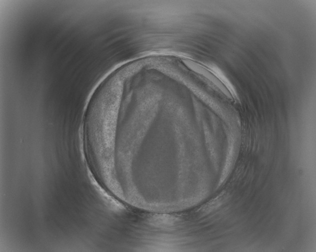 X0000074001100200609181802