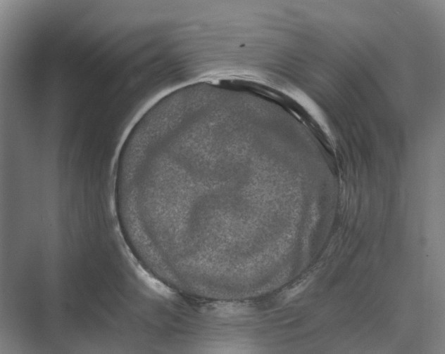 X0000074001102200609181802