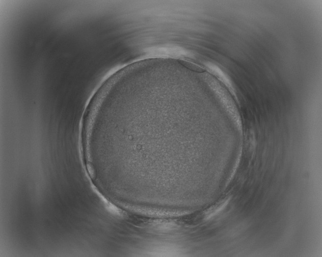 X0000074001103200609181802