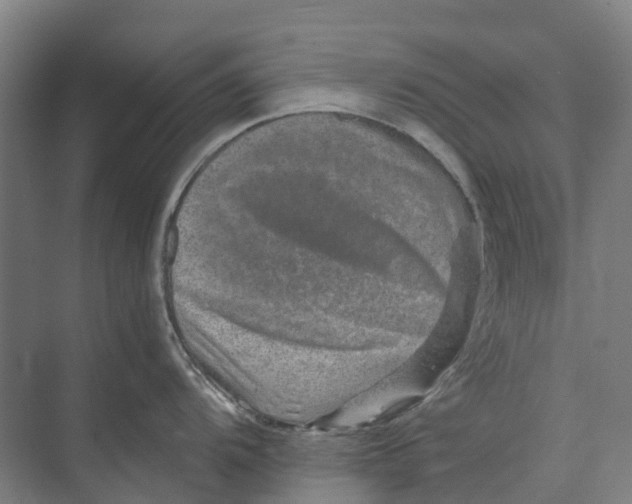 X0000074001104200609181802