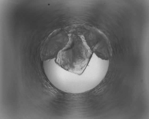 X0000074001105200609181801