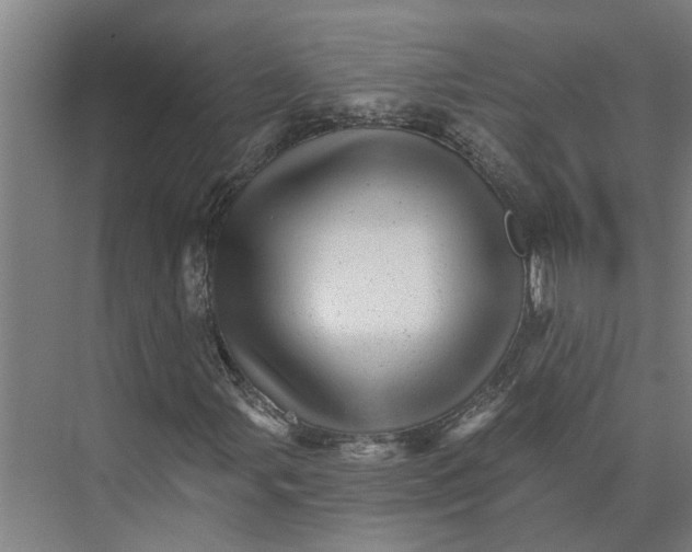 X0000074001107200609181801