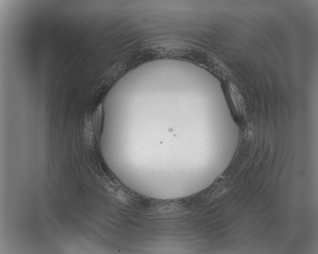 X0000074001108200609181801