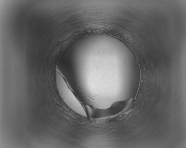 X0000074001109200609181801