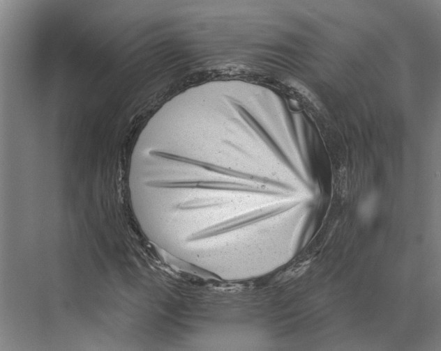 X0000074001111200609181801