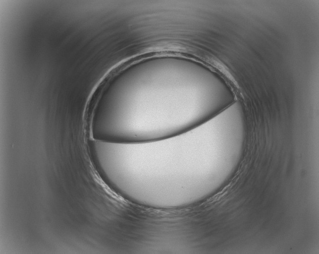 X0000074001116200609181801