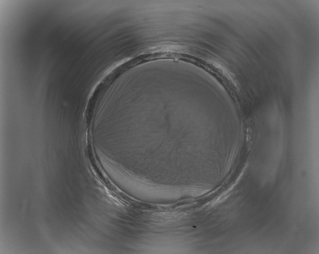 X0000074001117200609181801