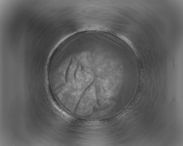 X0000074001120200609181801