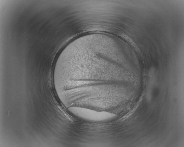 X0000074001121200609181801