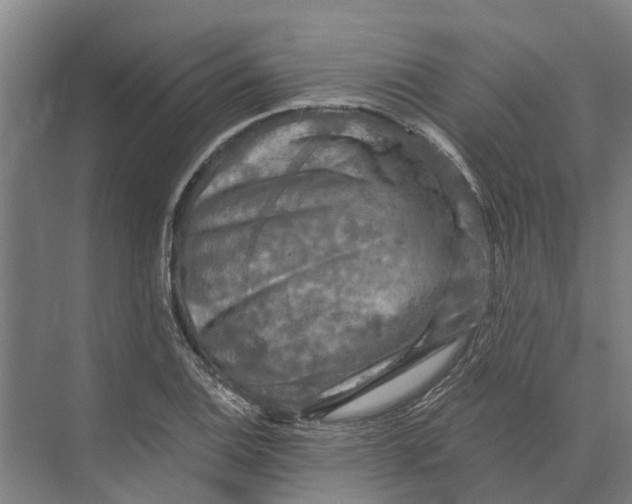 X0000074001124200609181801