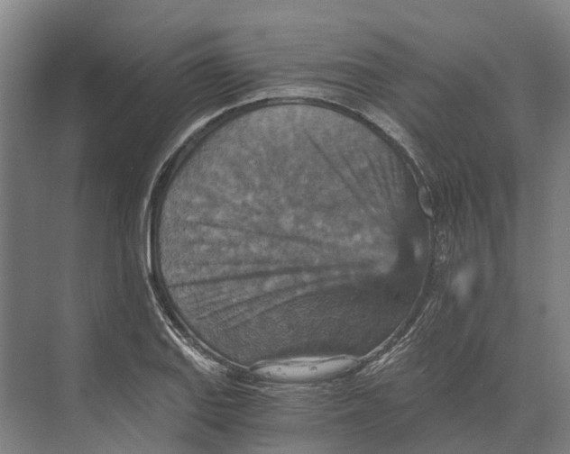 X0000074001127200609181801