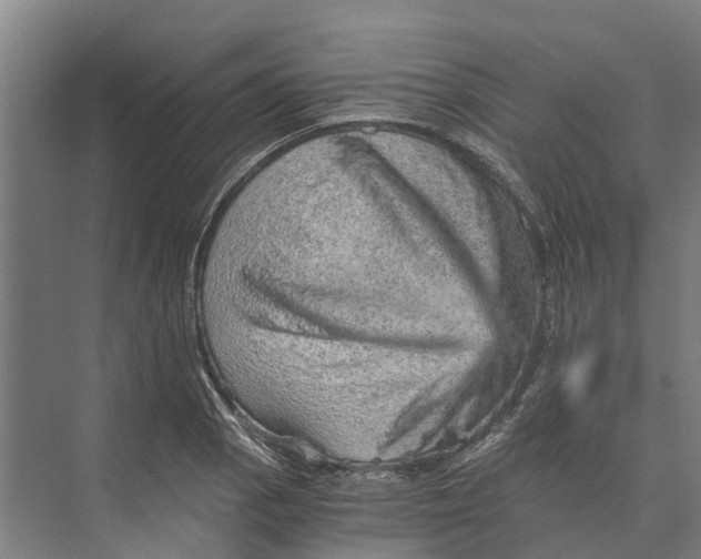 X0000074001129200609181801