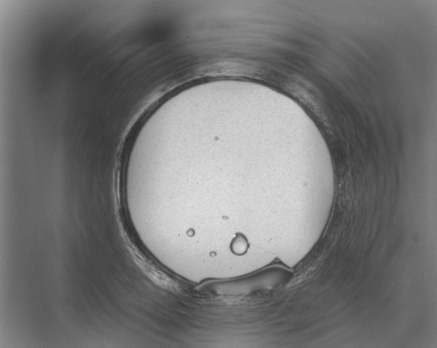 X0000074001130200609181801