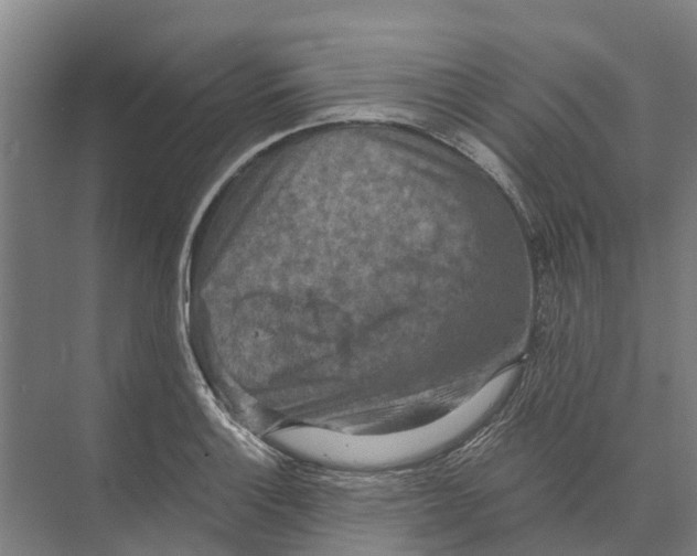 X0000074001132200609181801