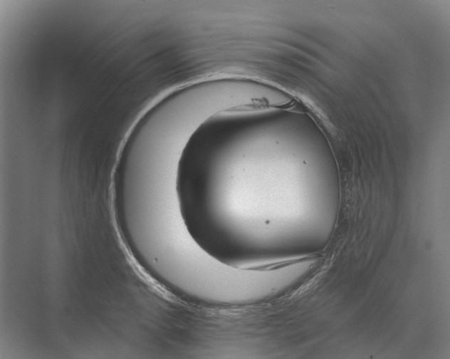 X0000074001134200609181801