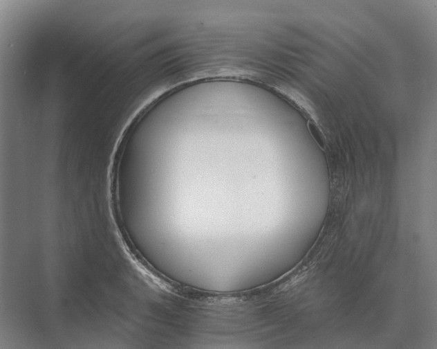 X0000074001135200609181801