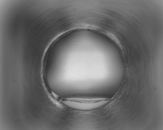 X0000074001136200609181801