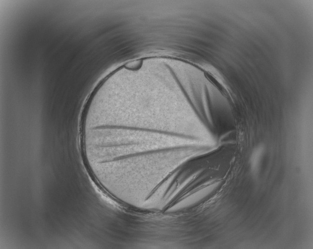 X0000074001143200609181801