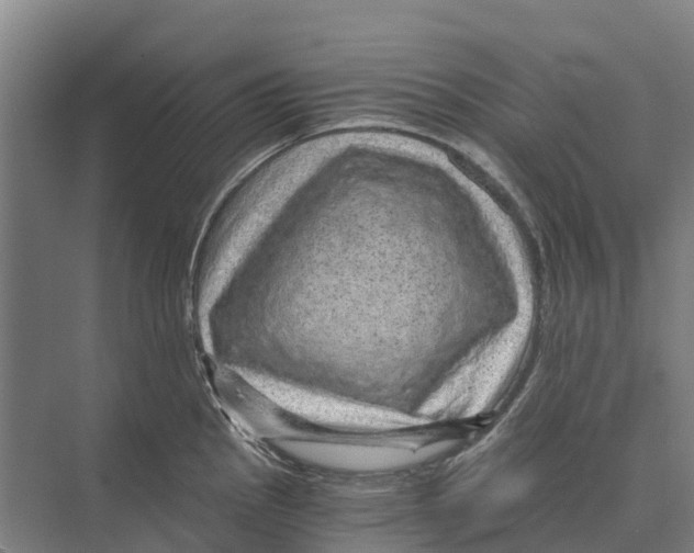 X0000074001145200609181801