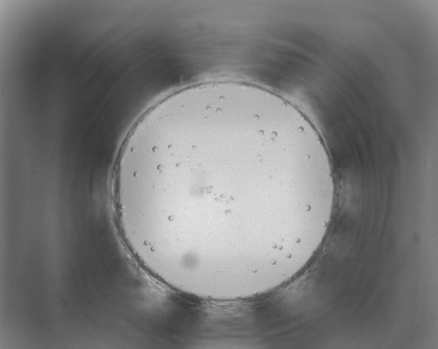 X0000074001150200609181801