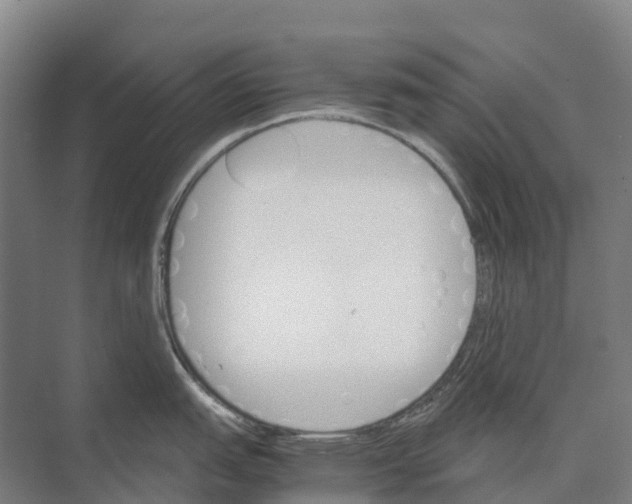 X0000074001151200609181802