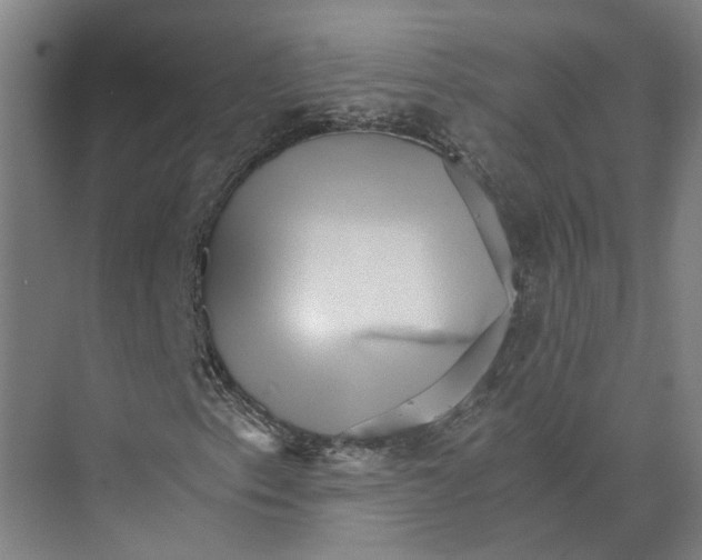 X0000074001153200609181801