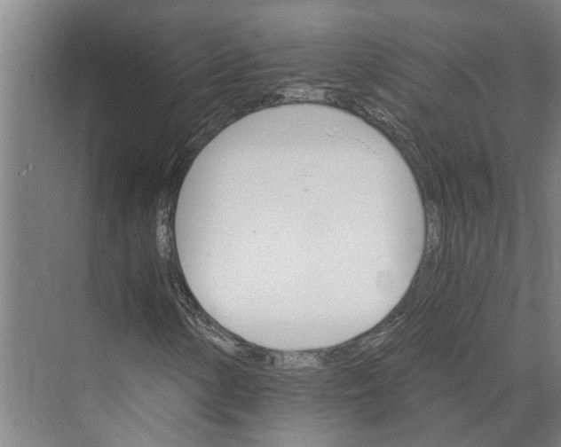 X0000074001154200609181801