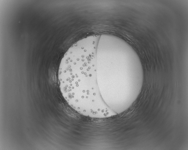 X0000074001155200609181801