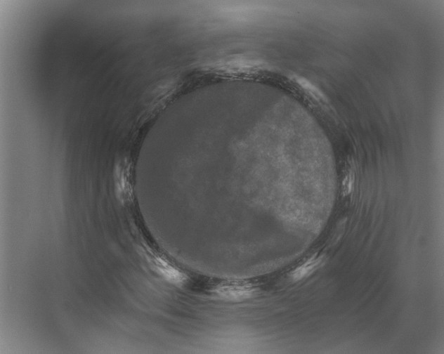 X0000074001156200609181801