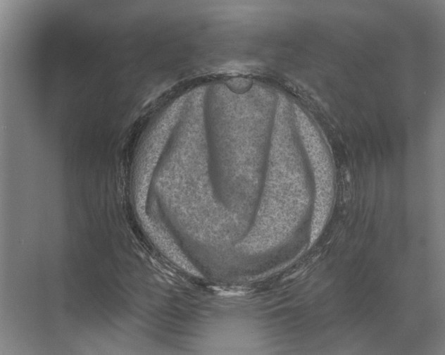 X0000074001158200609181801