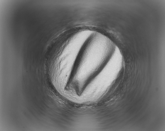 X0000074001159200609181801