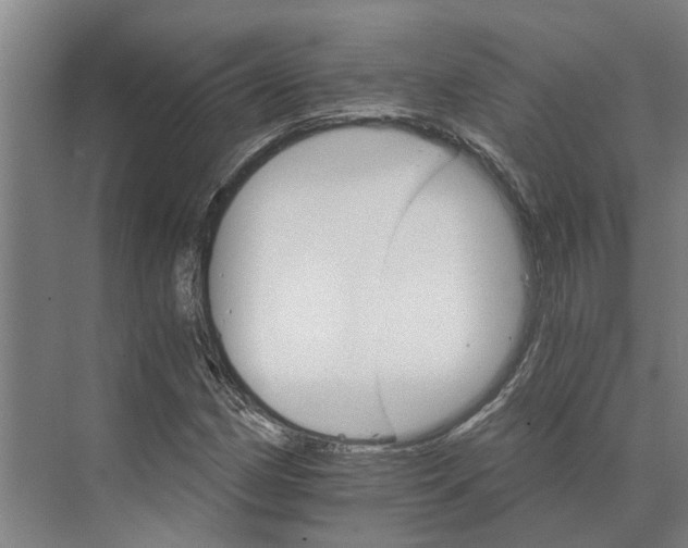 X0000074001162200609181801