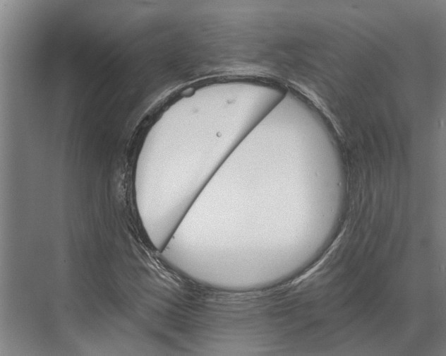 X0000074001163200609181801