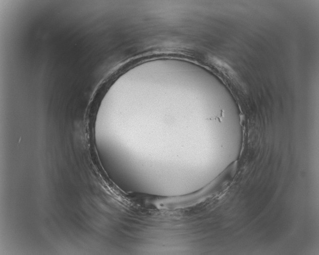 X0000074001164200609181801