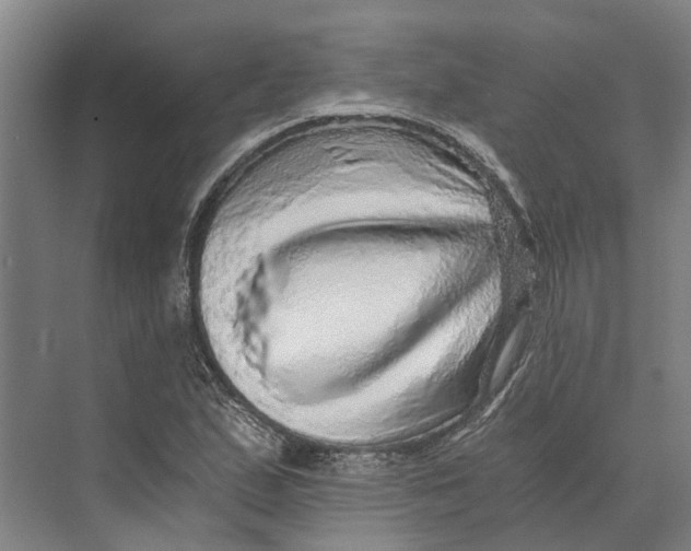 X0000074001167200609181800