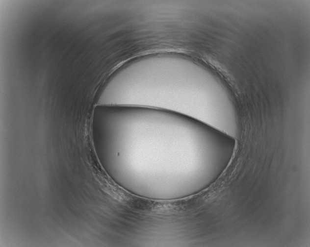 X0000074001169200609181800