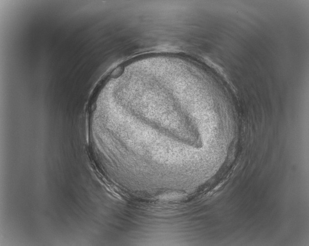 X0000074001171200609181800