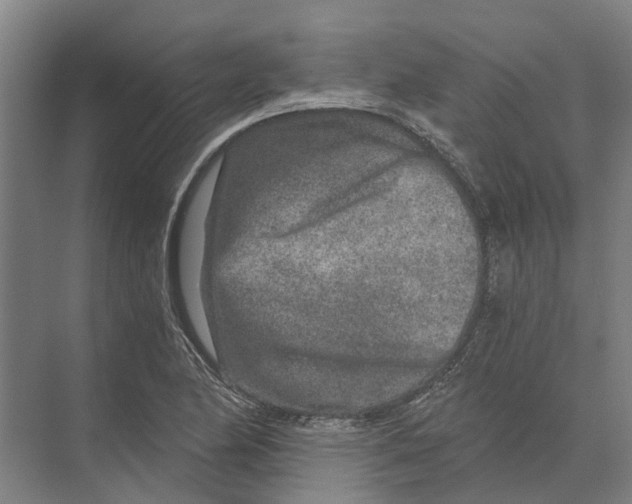 X0000074001174200609181800